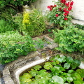 Marksburg - Herb garden